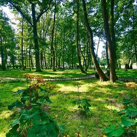 Osrodek Delfin Resort