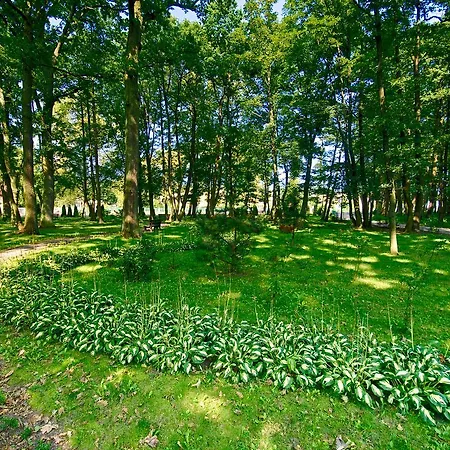 Resort Osrodek Delfin Dabki